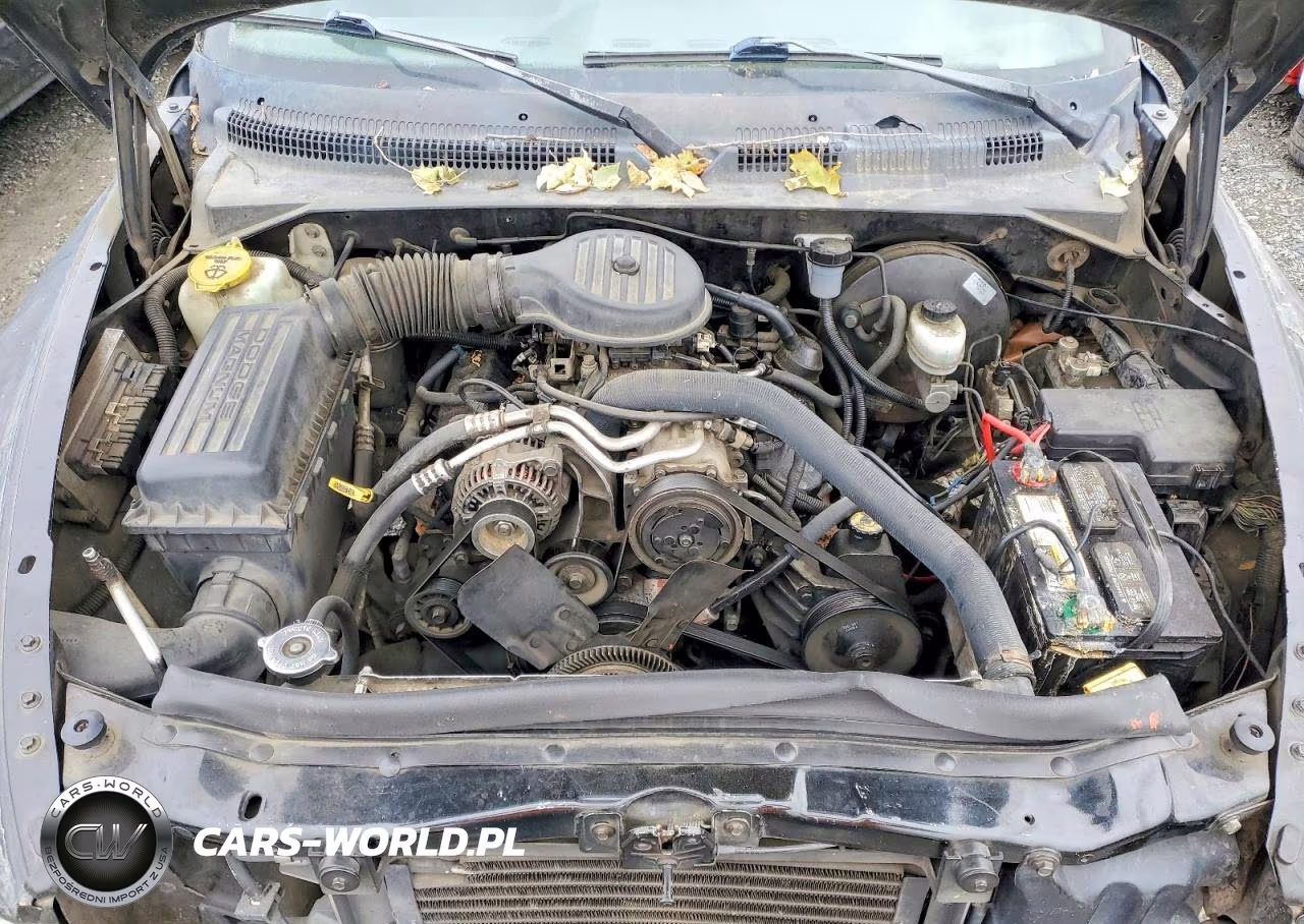 1997 Dodge Dakota VIN:1B7FL26X4VS252332 - 11