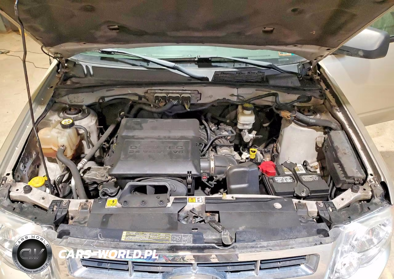 2012 Ford Escape Xlt VIN:1FMCU0DG6CKC03911 - 12