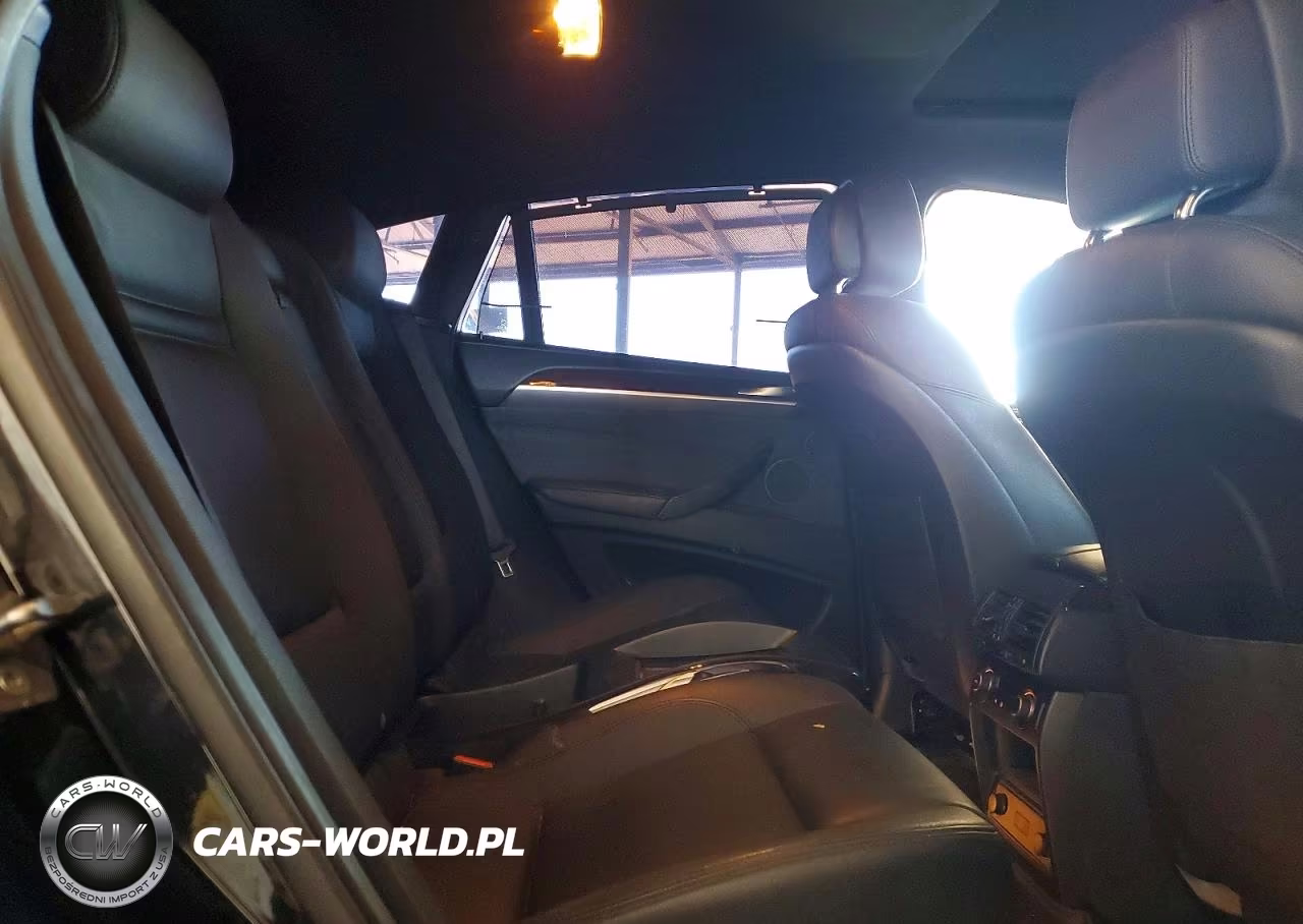 2011 BMW X6 xDrive50I VIN:5UXFG8C54BLZ96558 - 10