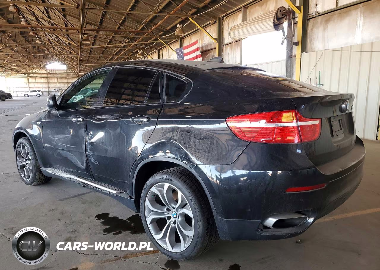 2011 BMW X6 xDrive50I VIN:5UXFG8C54BLZ96558 - 2