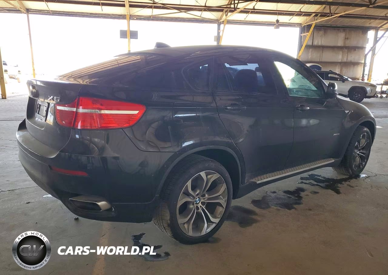 2011 BMW X6 xDrive50I VIN:5UXFG8C54BLZ96558 - 3