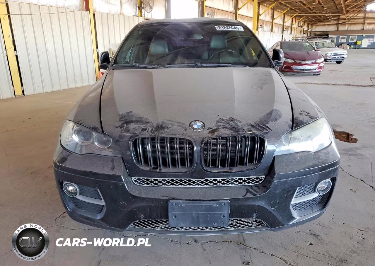 2011 BMW X6 xDrive50I VIN:5UXFG8C54BLZ96558 - 5