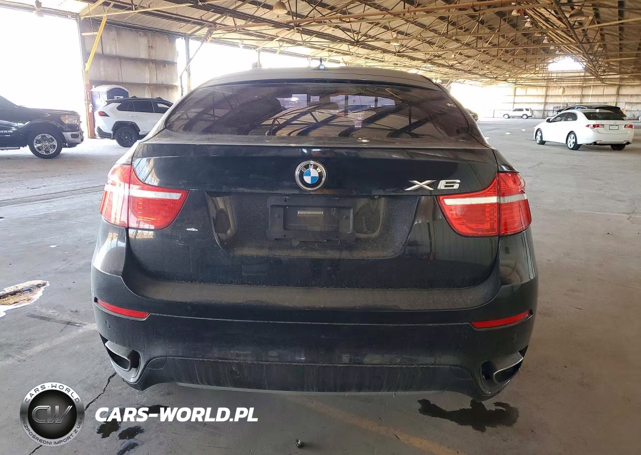 2011 BMW X6 xDrive50I VIN:5UXFG8C54BLZ96558 - 6