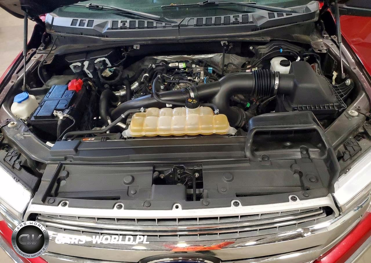 2020 Ford F150 Supercrew VIN:1FTEW1EP9LFC03583 - 11