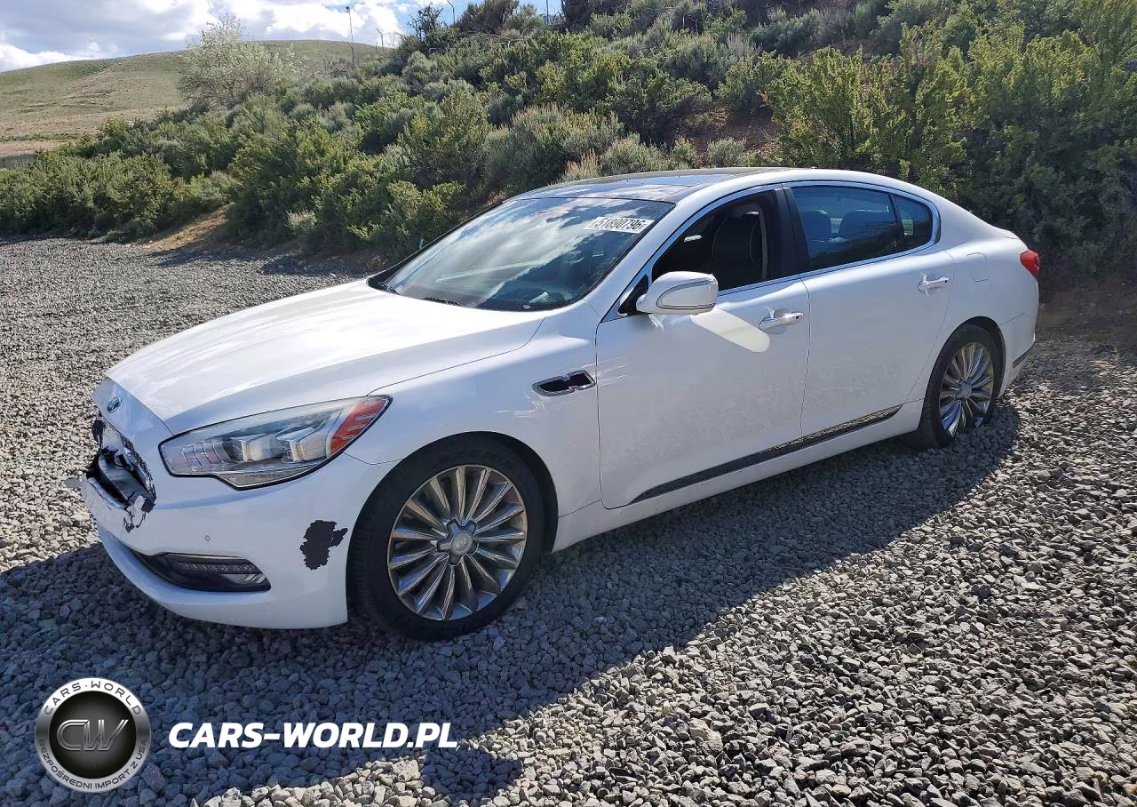 2015 Kia K900 Luxury