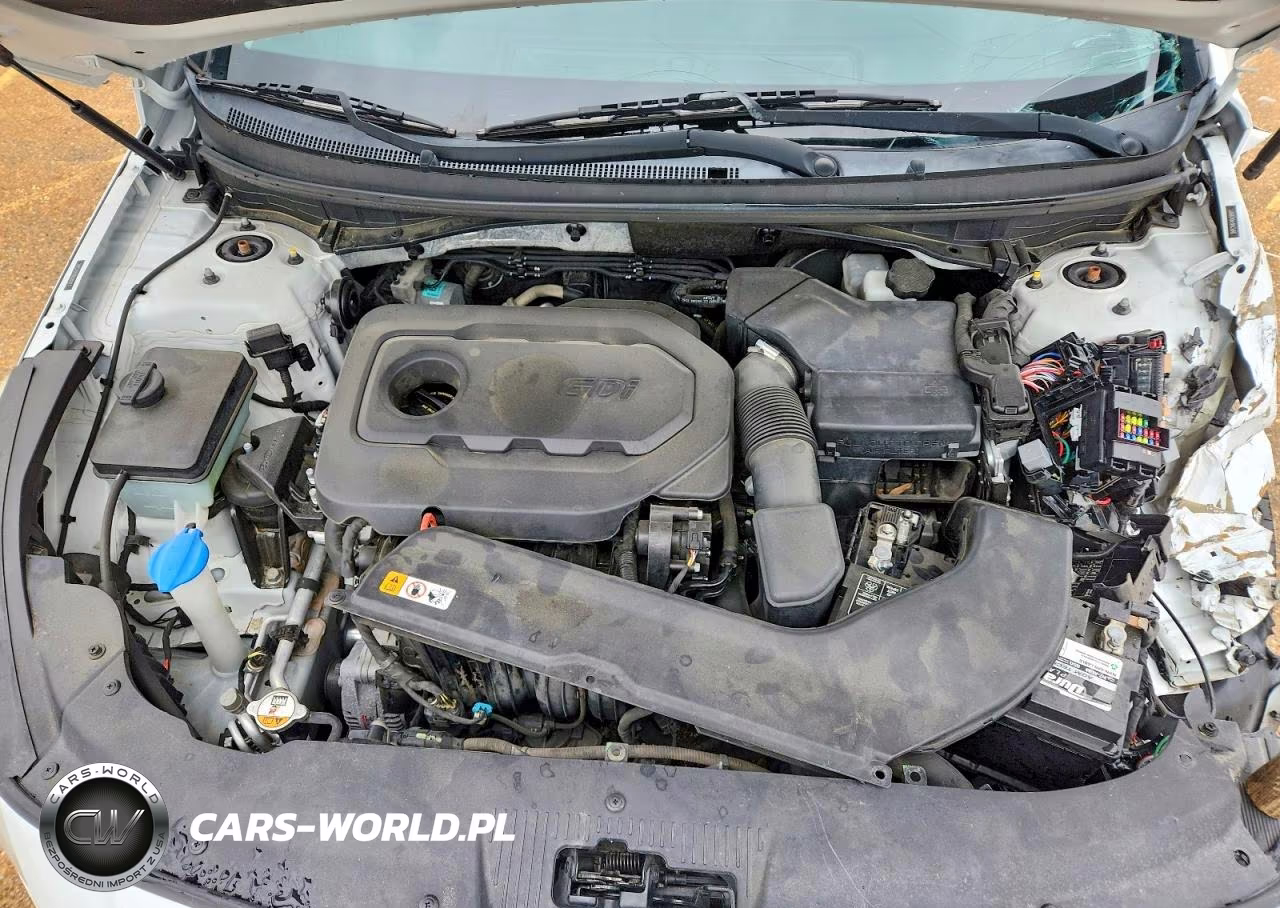 2016 Hyundai Sonata Se VIN:5NPE24AF4GH285017 - 11