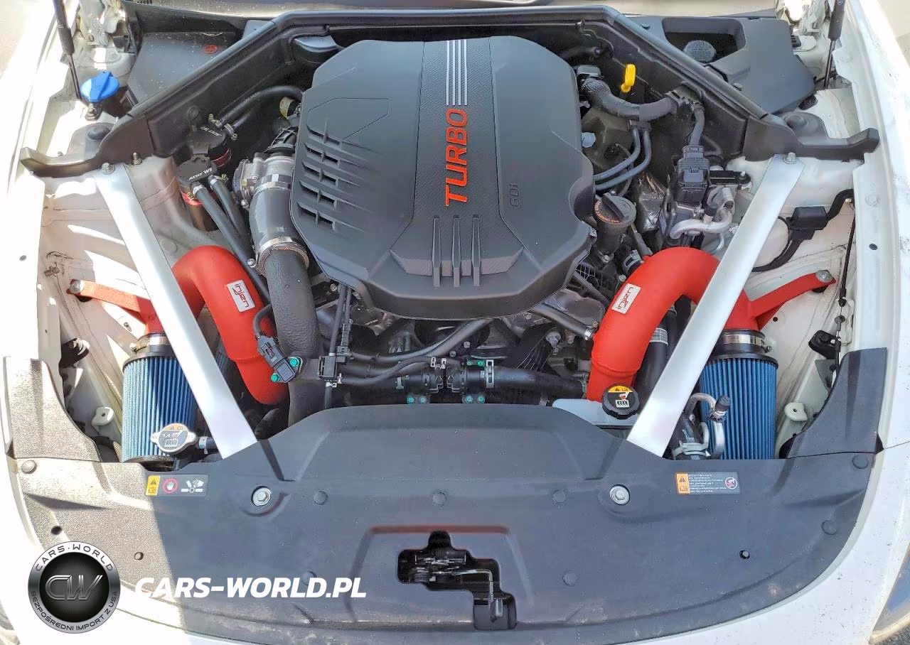 2020 Kia Stinger Gt2 VIN:KNAE55LC7L6073696 - 11