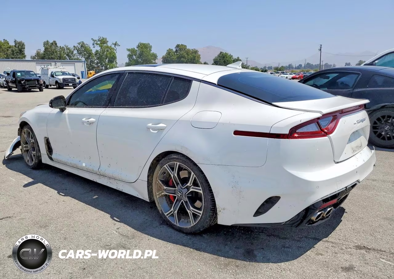 2020 Kia Stinger Gt2 VIN:KNAE55LC7L6073696 - 2