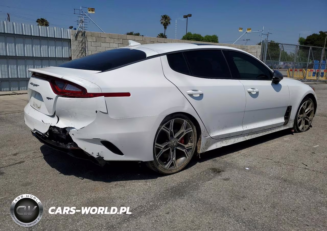 2020 Kia Stinger Gt2 VIN:KNAE55LC7L6073696 - 3