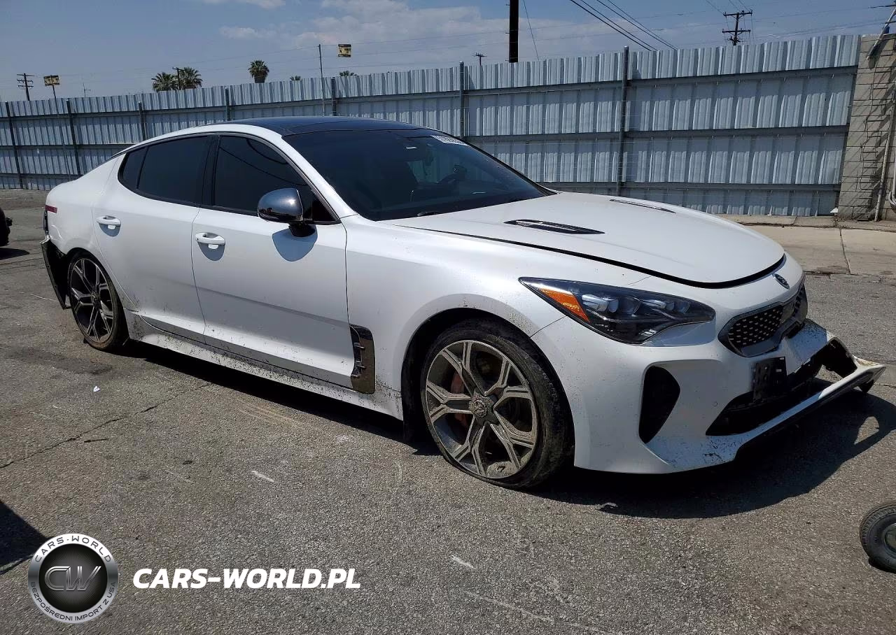 2020 Kia Stinger Gt2 VIN:KNAE55LC7L6073696 - 4