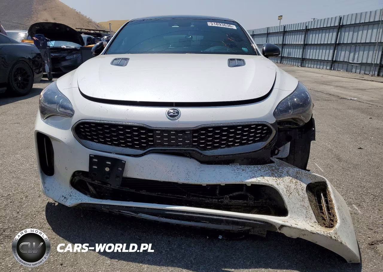2020 Kia Stinger Gt2 VIN:KNAE55LC7L6073696 - 5