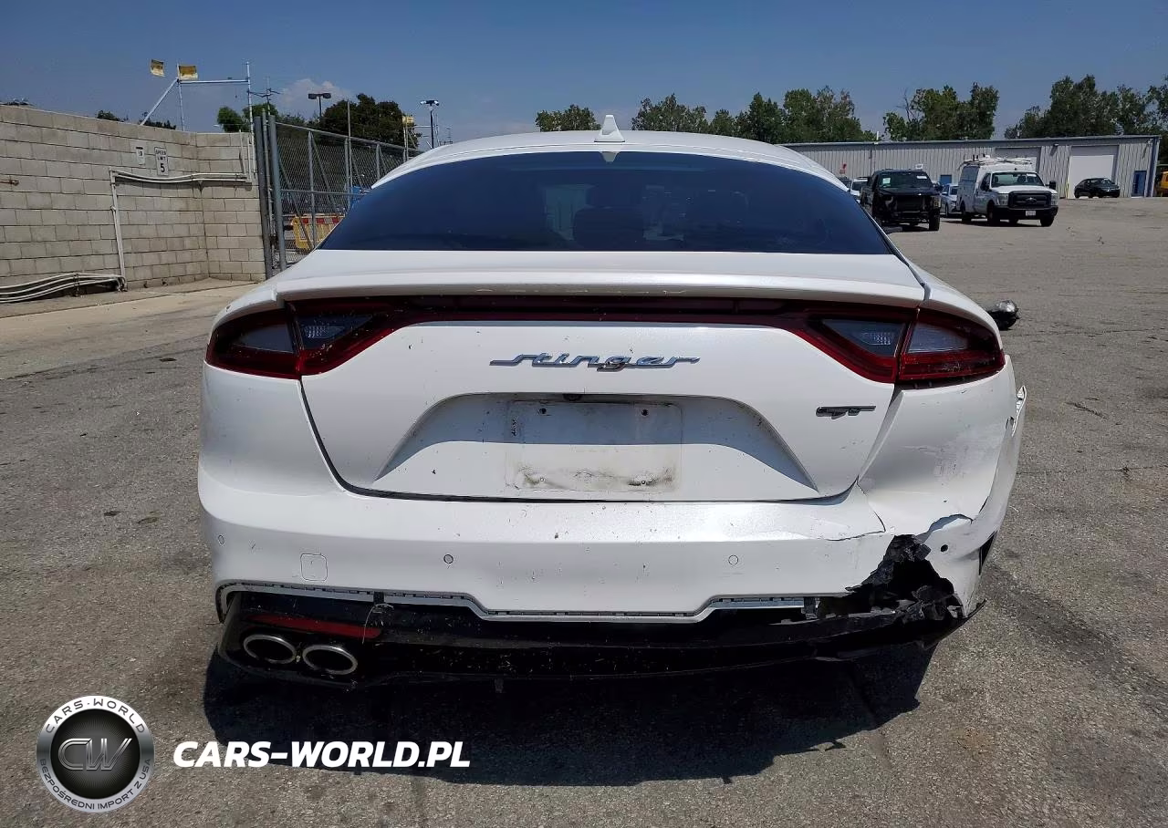 2020 Kia Stinger Gt2 VIN:KNAE55LC7L6073696 - 6