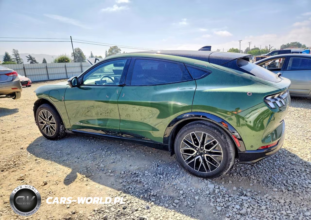 2024 Ford Mustang Mach-E Premium VIN:3FMTK3R4XRMA34712 - 2