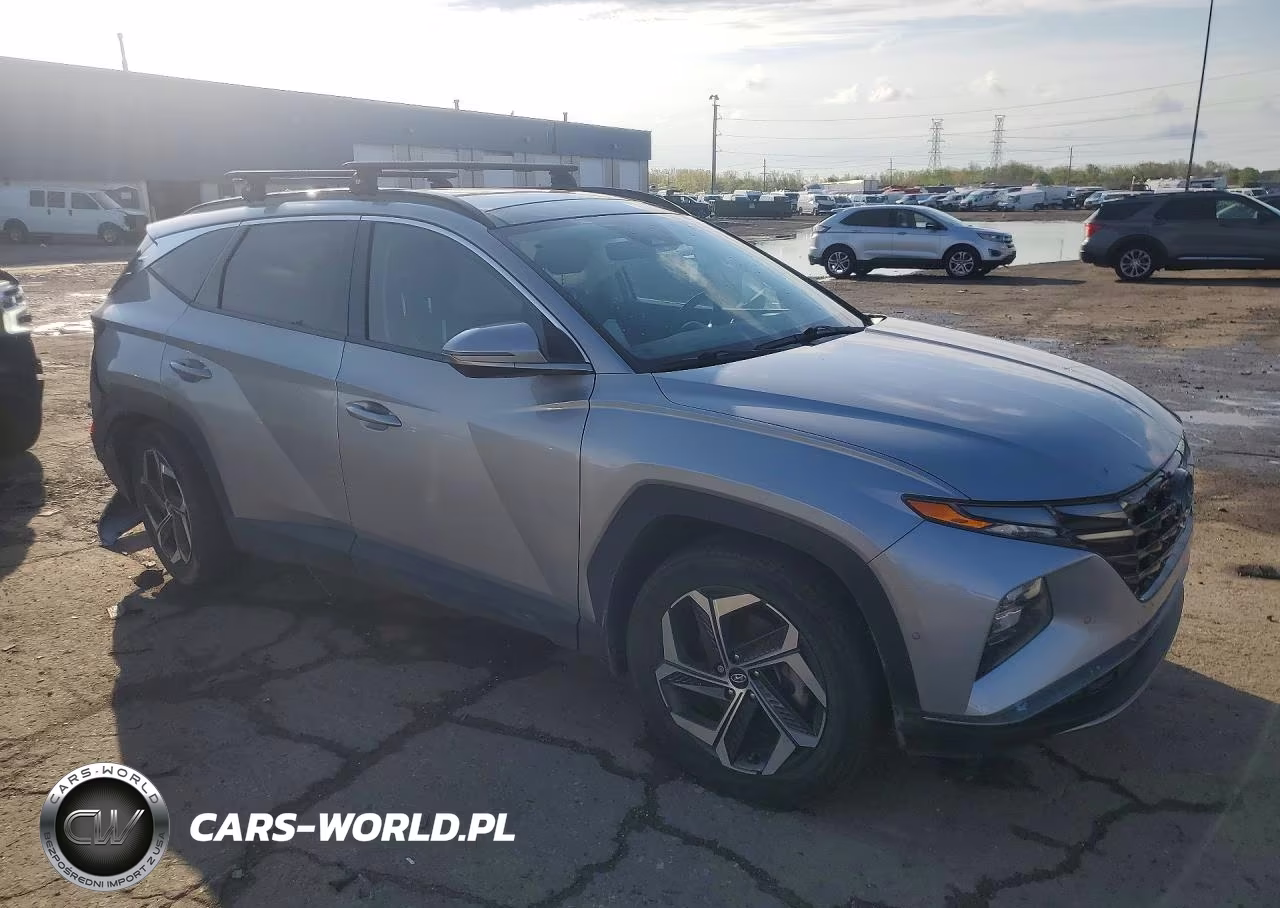 2022 Hyundai Tucson Limited VIN:KM8JECA1XNU045425 - 4