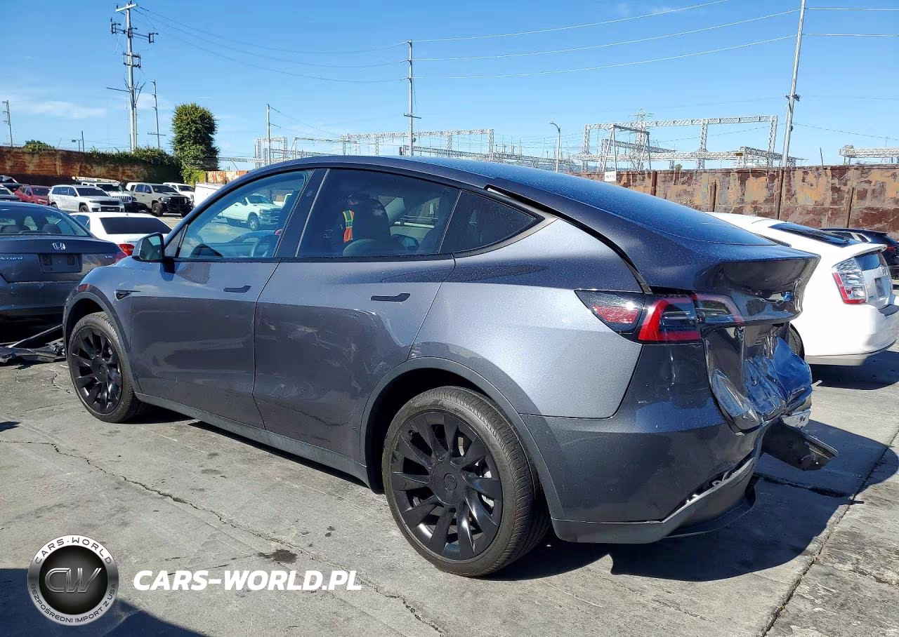 2023 Tesla Model Y VIN:7SAYGDED6PF956339 - 2