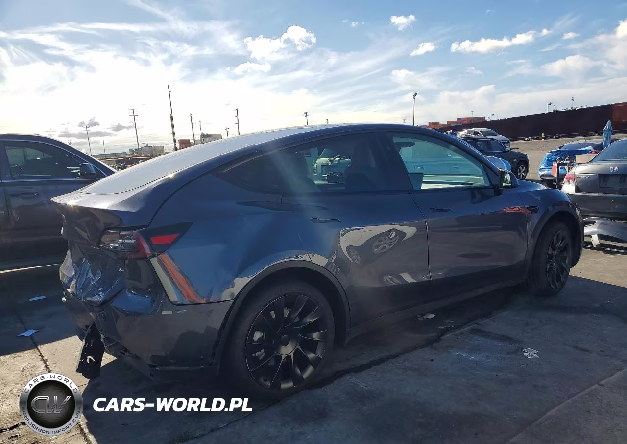 2023 Tesla Model Y VIN:7SAYGDED6PF956339 - 3