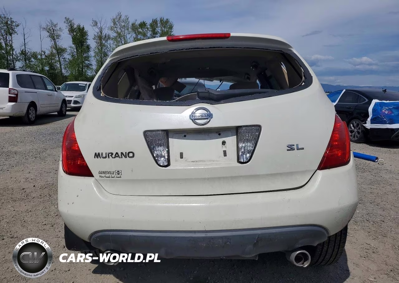 2003 Nissan Murano Sl VIN:JN8AZ08T13W122235 - 6