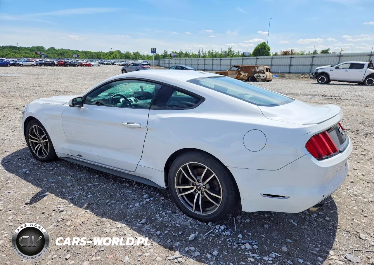 2015 Ford Mustang VIN:1FA6P8TH0F5356486 - 2