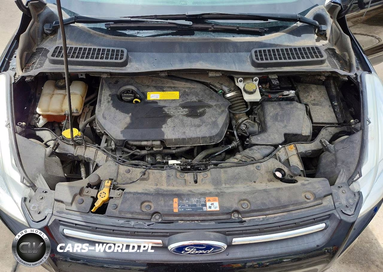 2015 Ford Escape Se VIN:1FMCU9GX8FUC25529 - 12