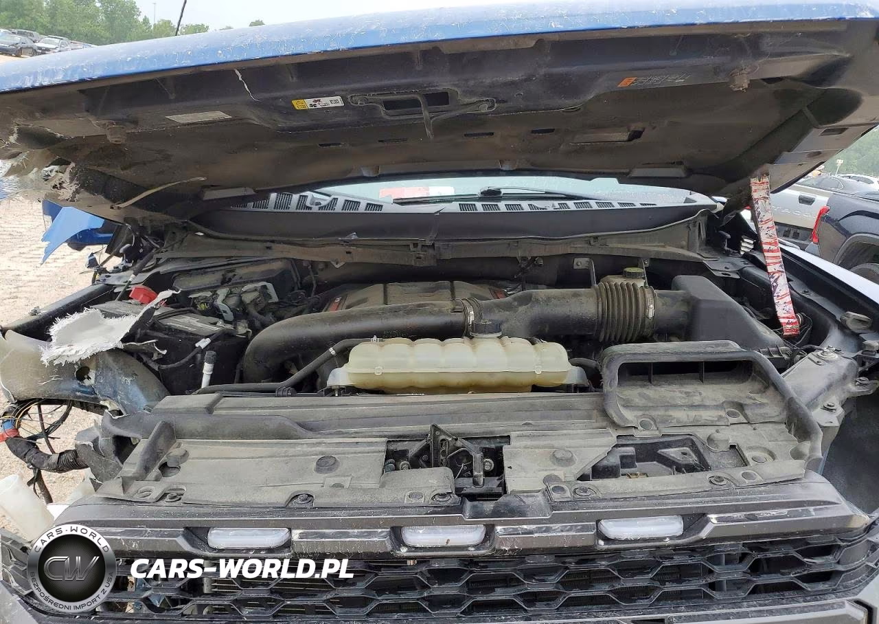 2022 Ford F150 Raptor VIN:1FTFW1RG2NFB25133 - 11