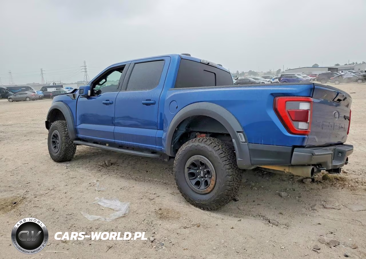 2022 Ford F150 Raptor VIN:1FTFW1RG2NFB25133 - 2