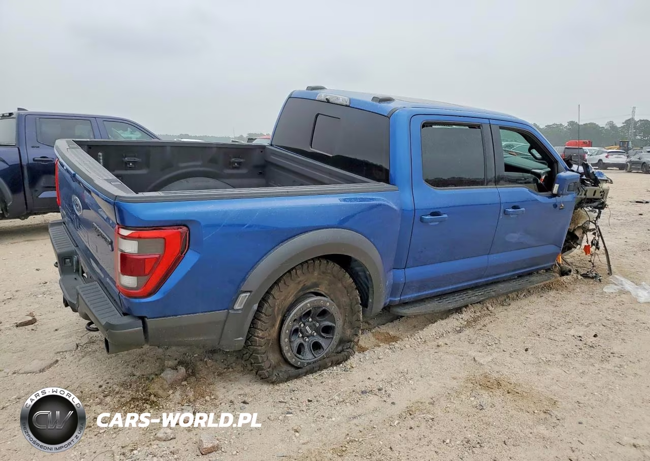 2022 Ford F150 Raptor VIN:1FTFW1RG2NFB25133 - 3