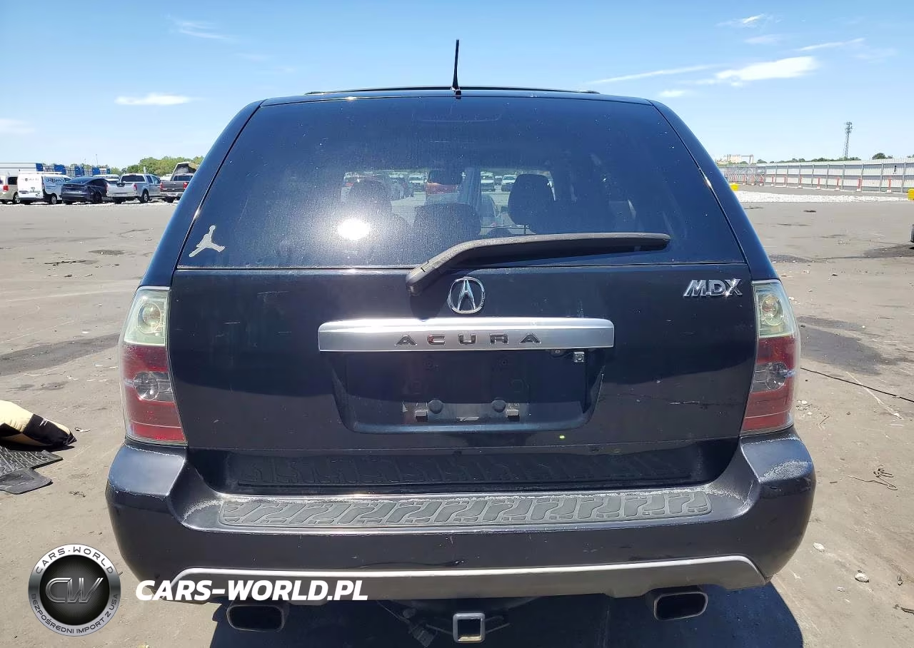 2004 Acura Mdx VIN:2HNYD188X4H502467 - 6
