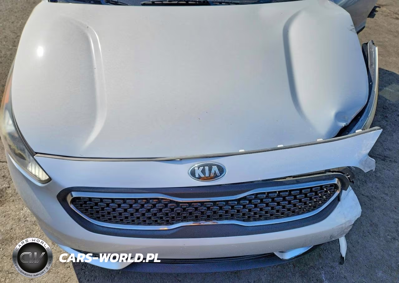 2018 Kia Niro Lx VIN:KNDCB3LC0J5155828 - 12