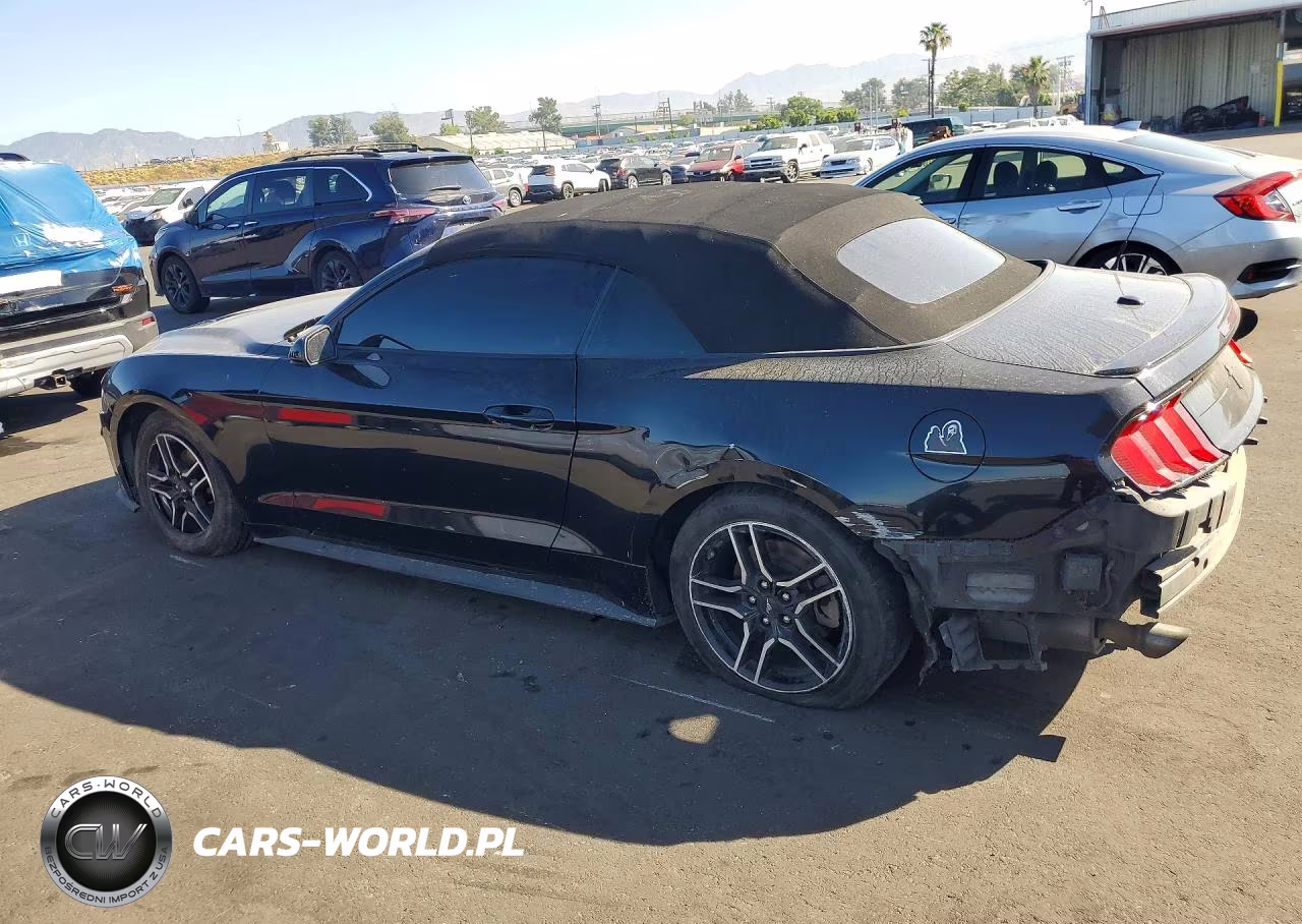 2021 Ford Mustang VIN:1FATP8UHXM5123777 - 2