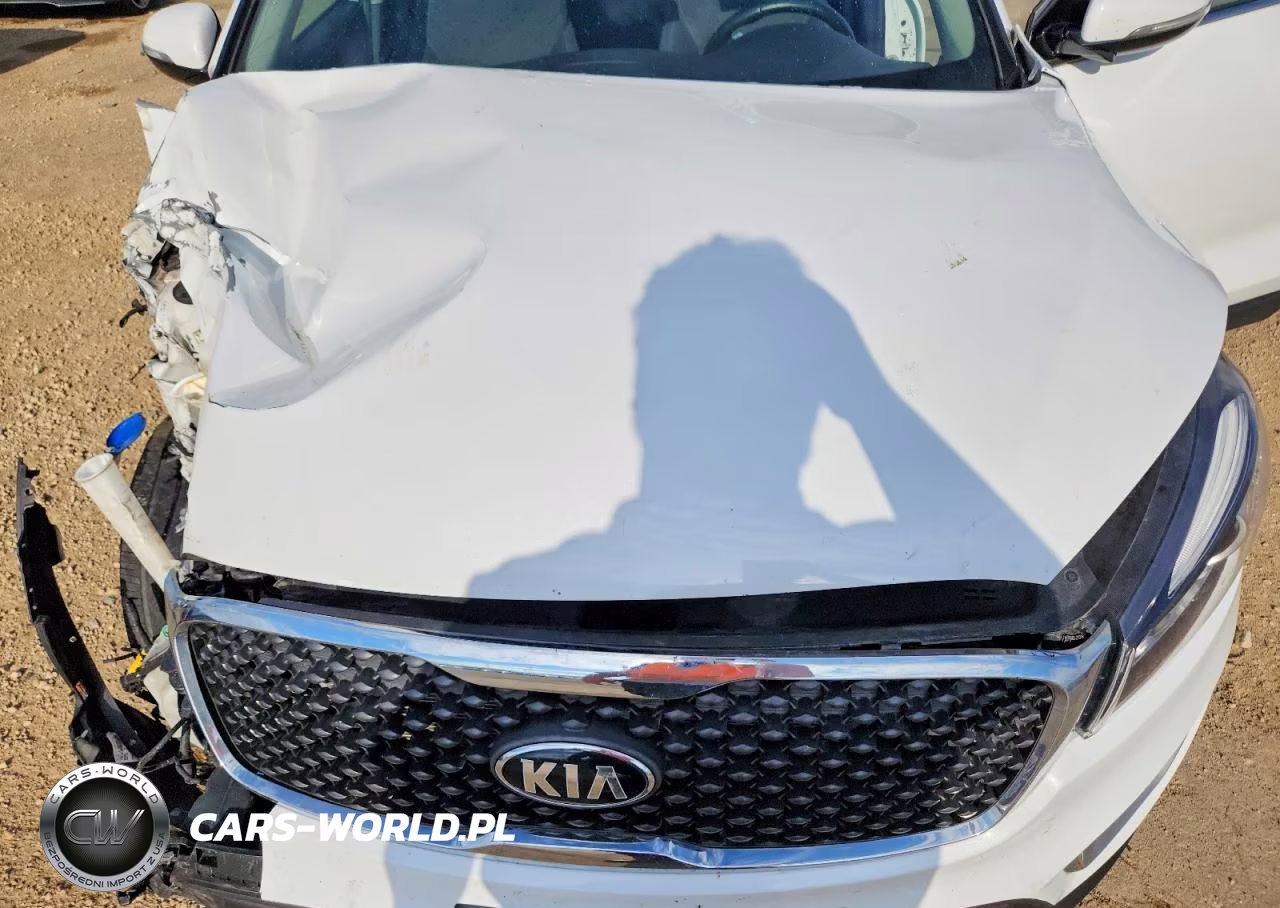 2018 Kia Sorento Lx VIN:5XYPG4A39JG420667 - 12