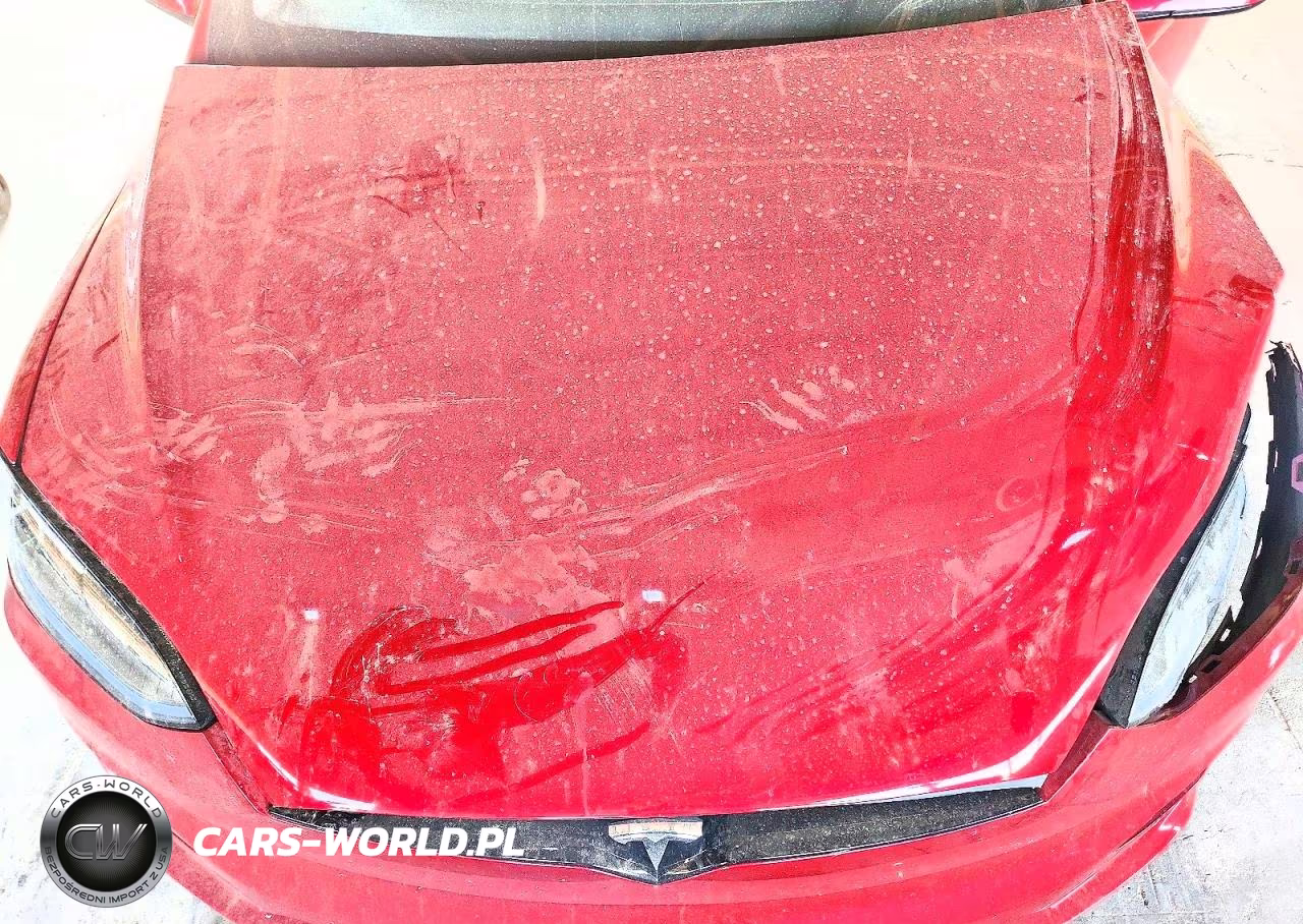 2025 Tesla Model X VIN:7SAXCAE59SF471605 - 12