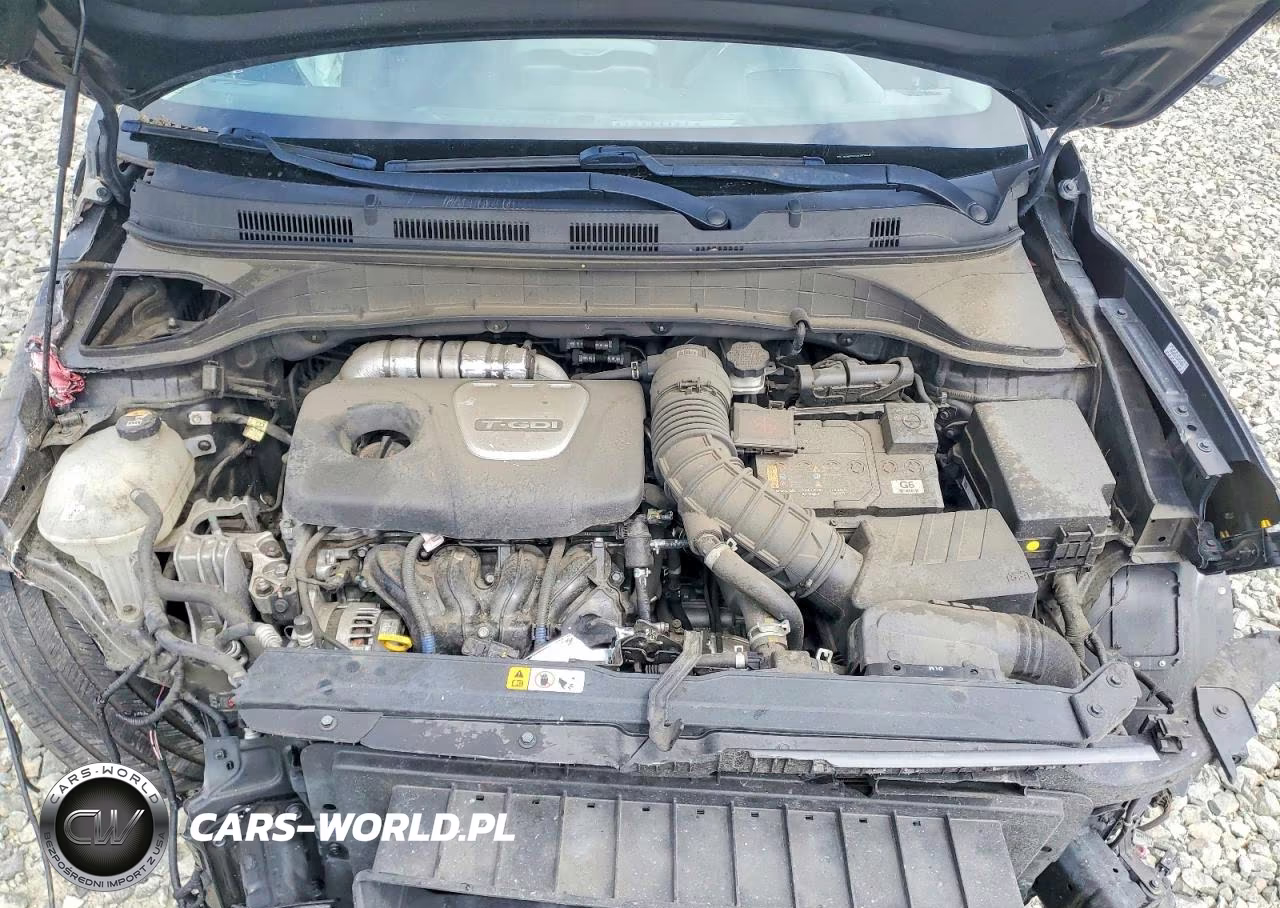 2020 Hyundai Kona Ultimate VIN:KM8K53A5XLU529440 - 12