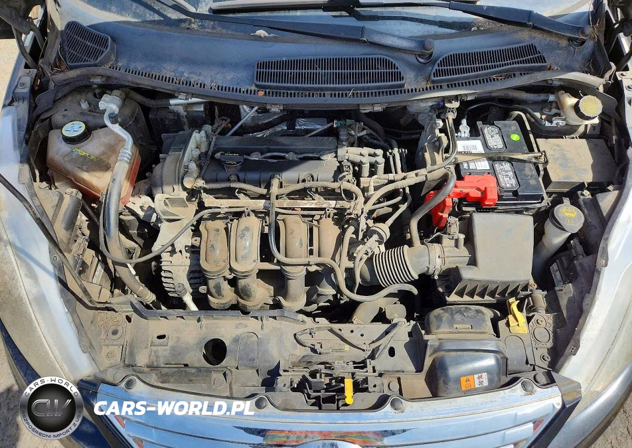 2013 Ford Fiesta Se VIN:3FADP4BJ2DM129506 - 11