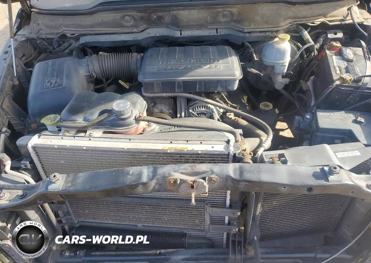 2002 Dodge Ram 1500 VIN:1B7HA16N12J120024 - 11