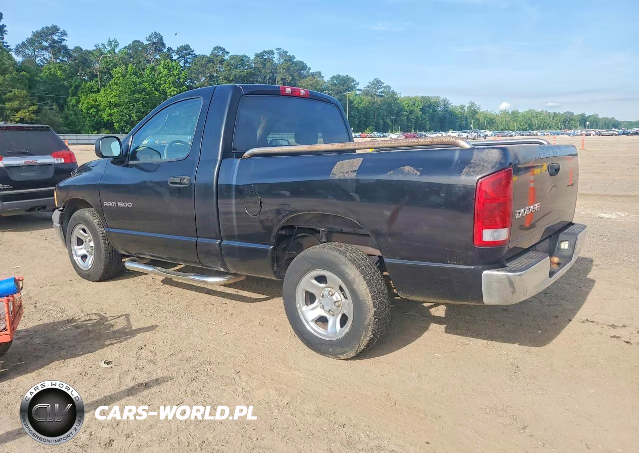 2002 Dodge Ram 1500 VIN:1B7HA16N12J120024 - 2