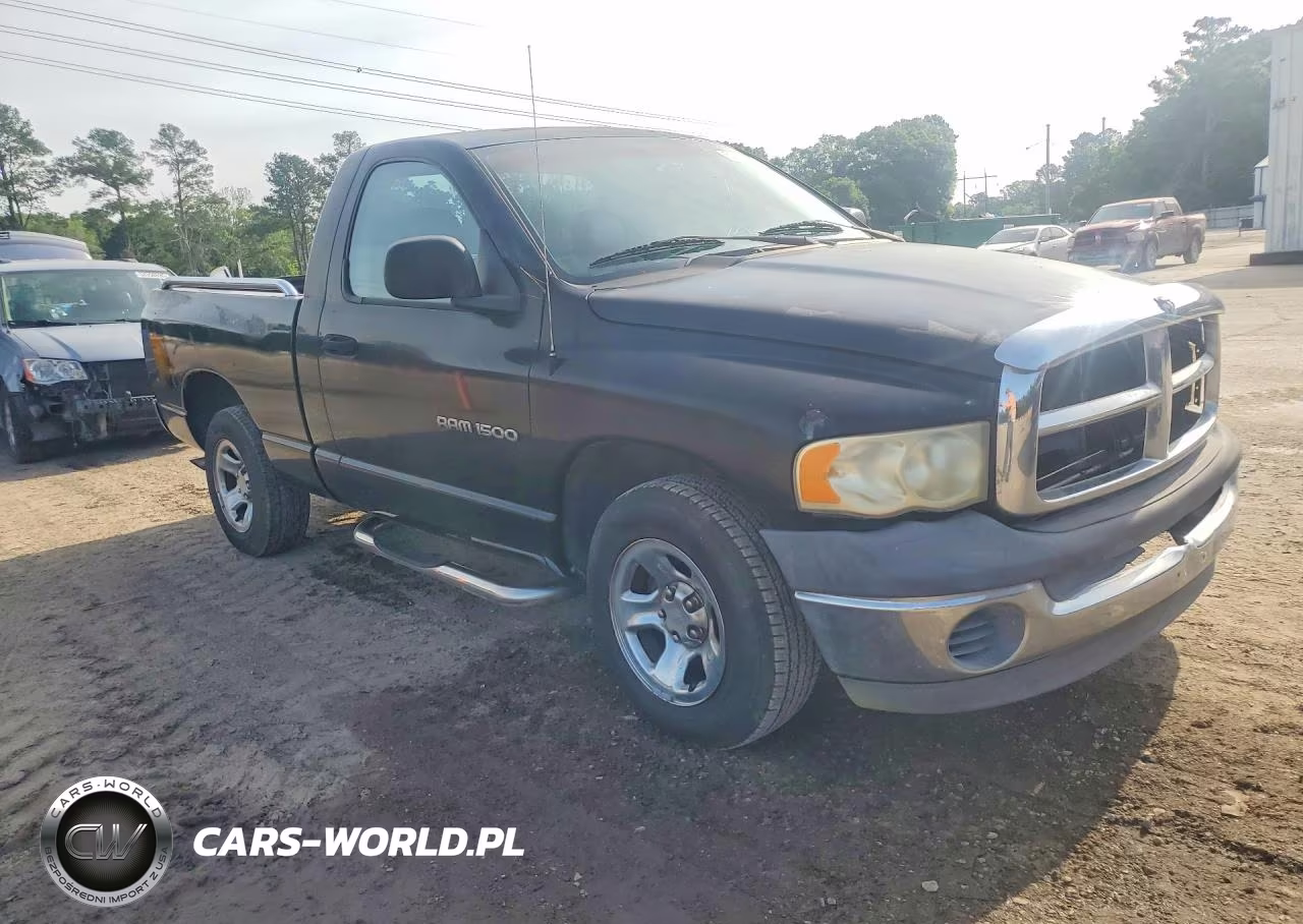 2002 Dodge Ram 1500 VIN:1B7HA16N12J120024 - 4