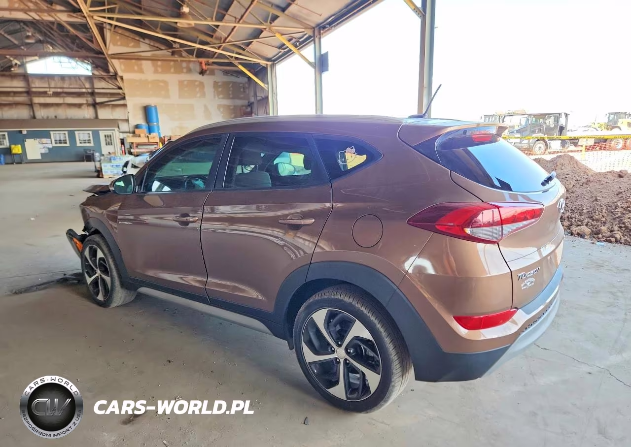 2017 Hyundai Tucson Sport VIN:KM8J33A28HU460245 - 2