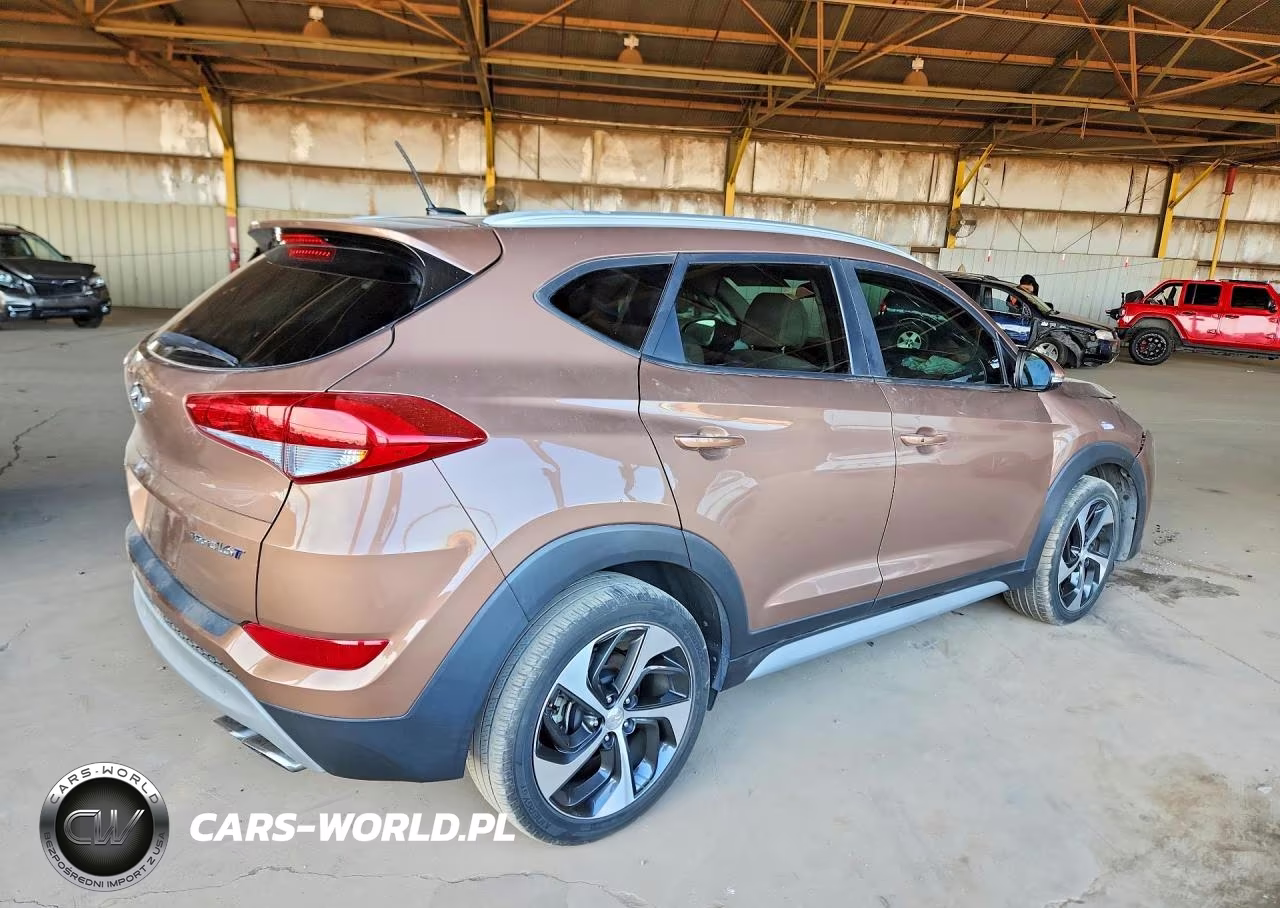 2017 Hyundai Tucson Sport VIN:KM8J33A28HU460245 - 3