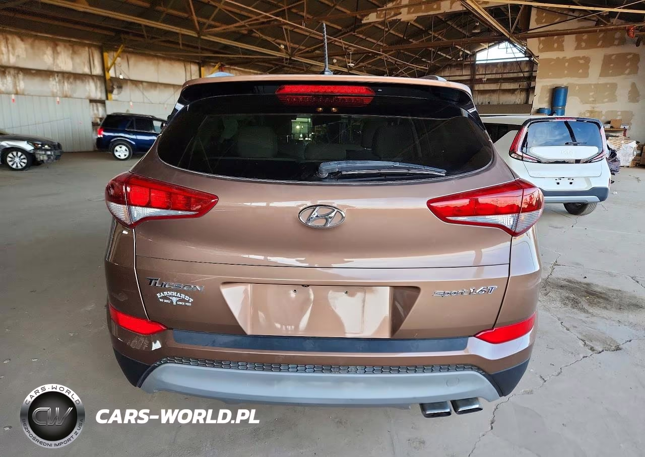 2017 Hyundai Tucson Sport VIN:KM8J33A28HU460245 - 6