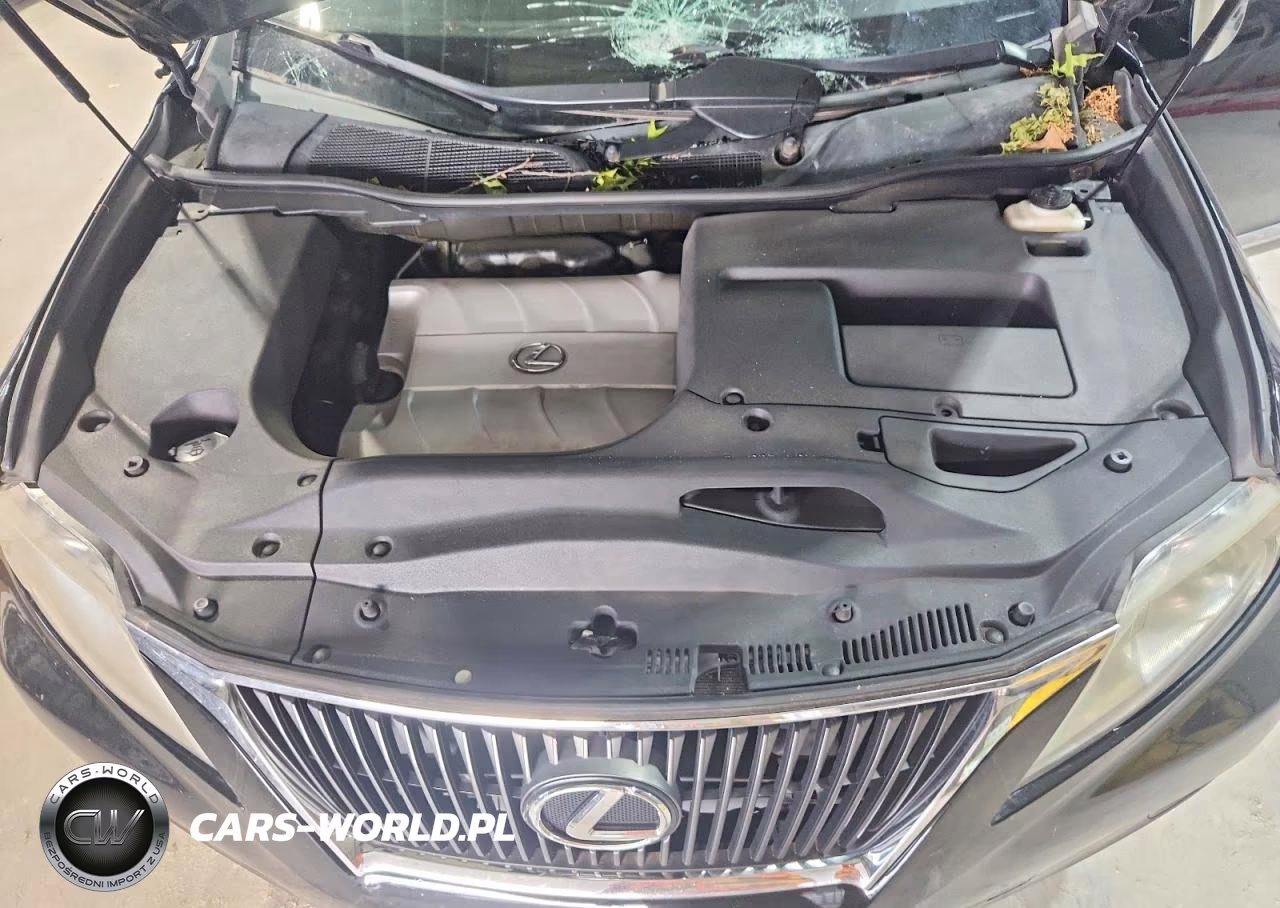 2010 Lexus Rx 350 VIN:2T2BK1BA6AC053884 - 12