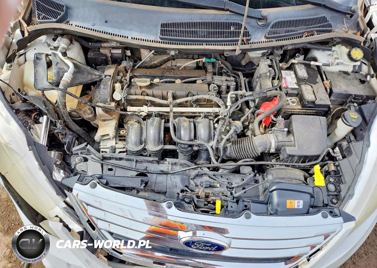 2013 Ford Fiesta Se VIN:3FADP4BJXDM176721 - 11