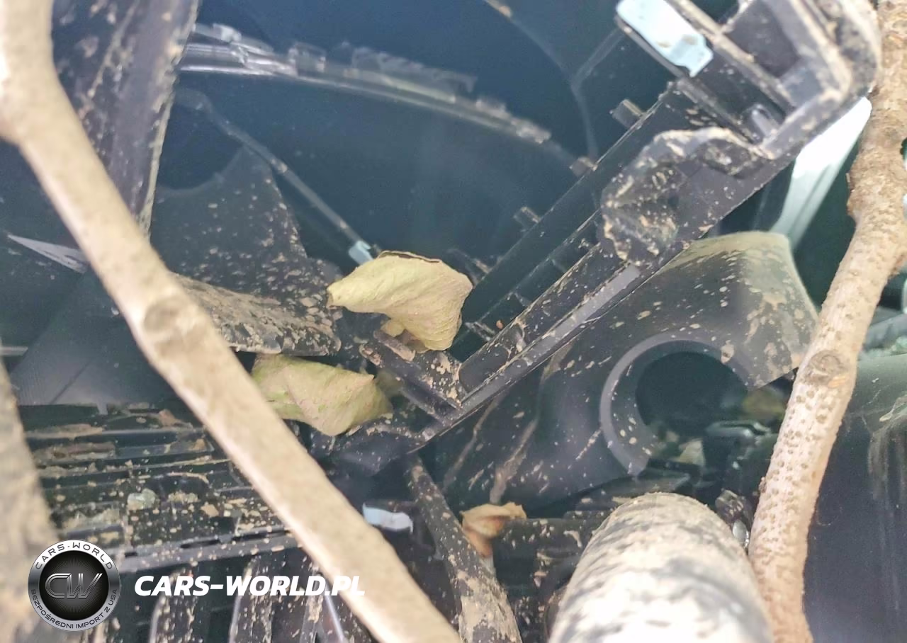 2025 Honda Accord Lx VIN:1HGCY1F2XSA076926 - 9
