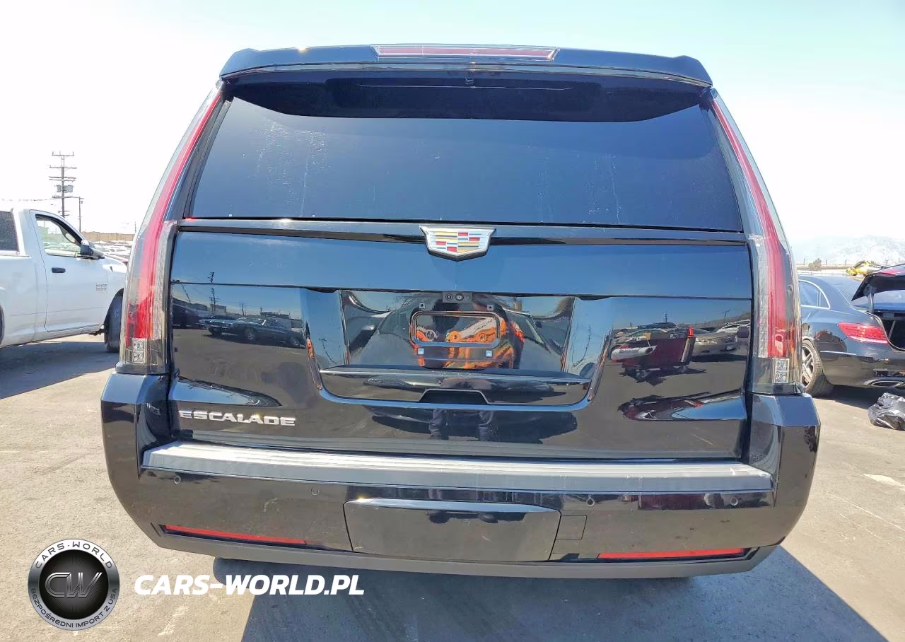 2019 Cadillac Escalade Esv Premium Luxury VIN:1GYS4JKJXKR342704 - 6