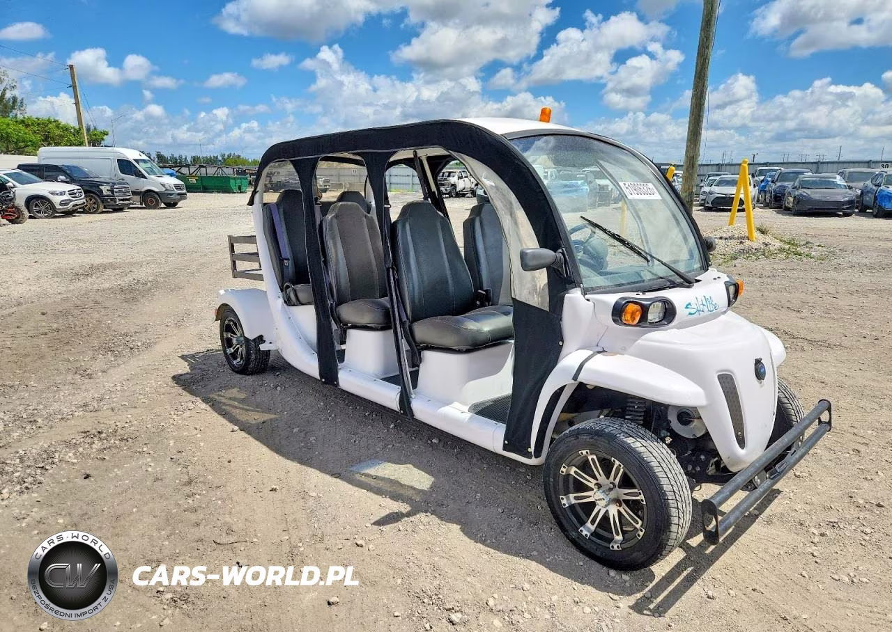 2013 Global Electric Motors E6