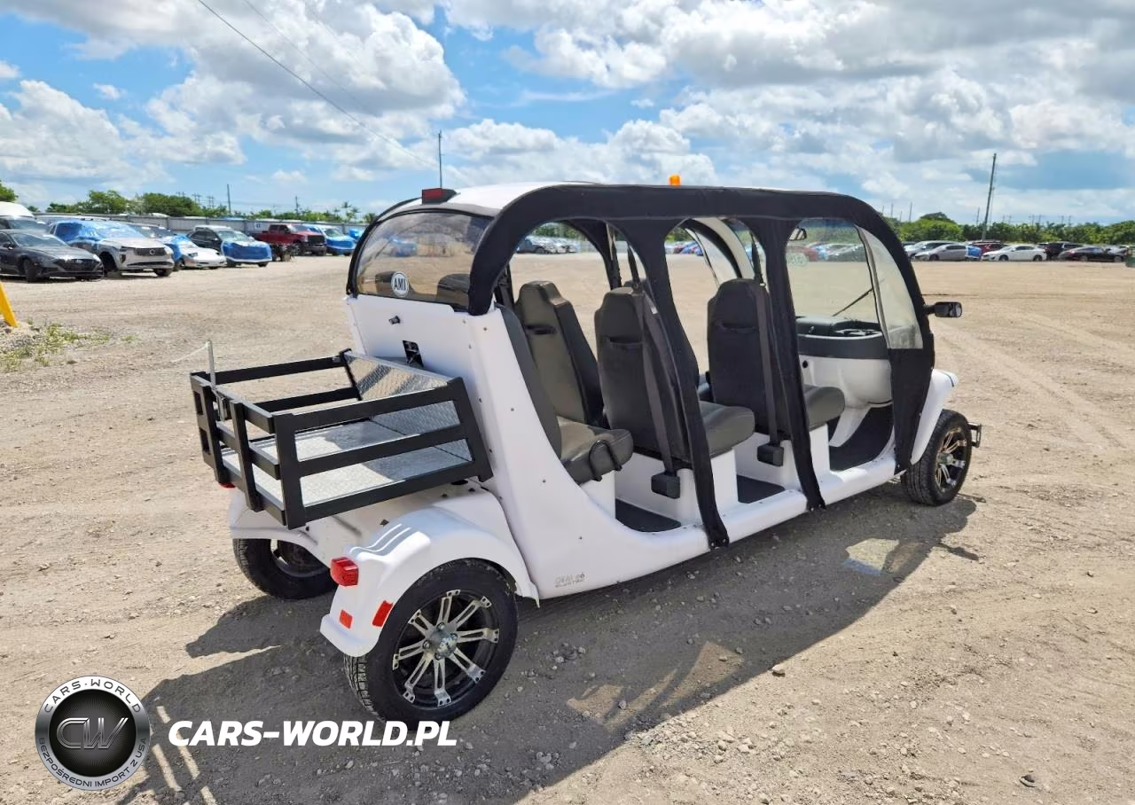 2013 Global Electric Motors E6 VIN:52CG6AGA2D0002916 - 4