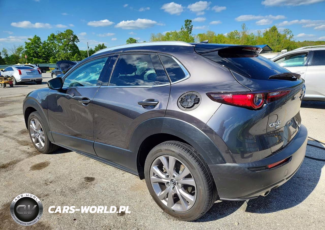 2021 Mazda Cx-30 Premium VIN:3MVDMBDM3MM225559 - 2