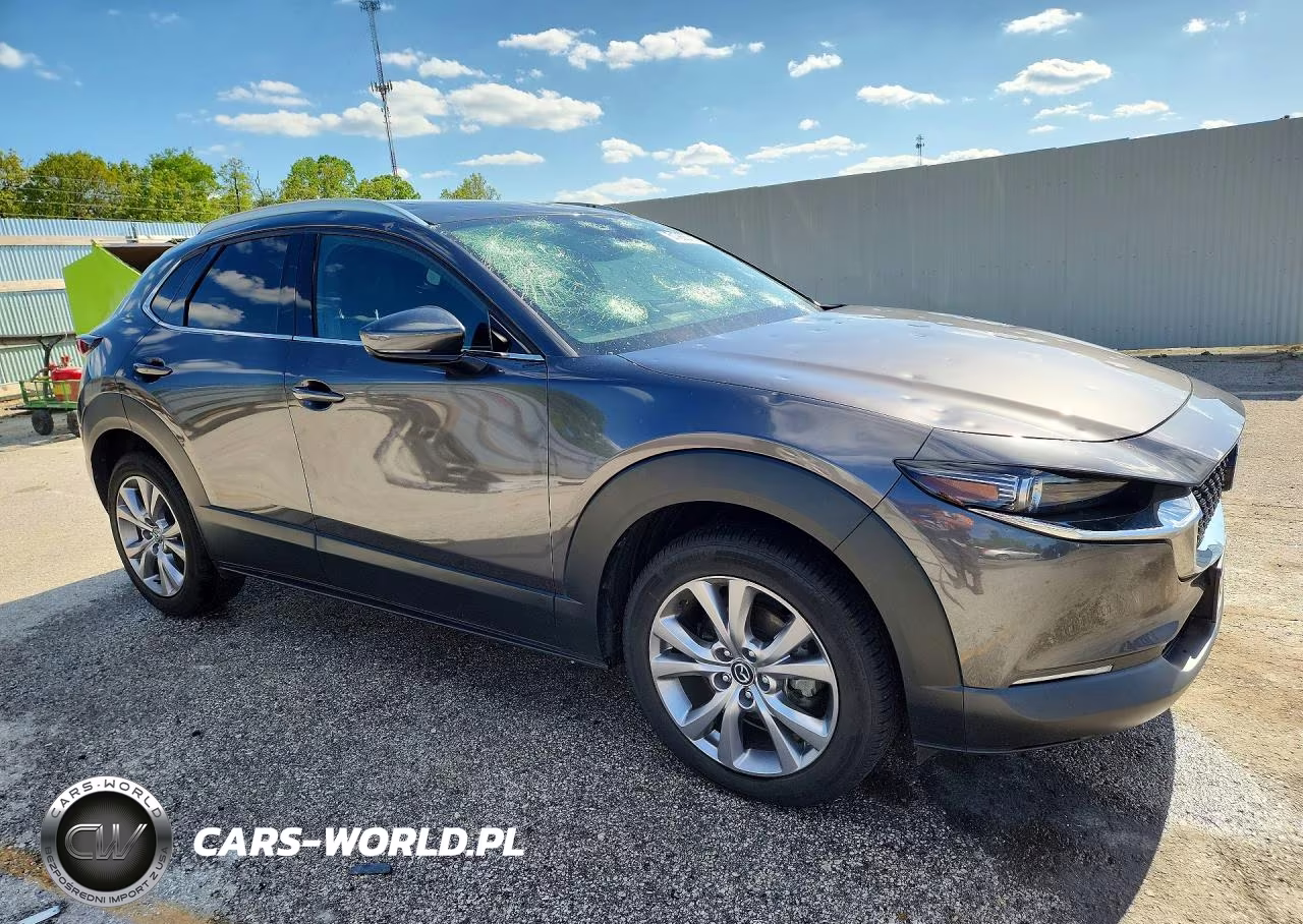 2021 Mazda Cx-30 Premium VIN:3MVDMBDM3MM225559 - 4