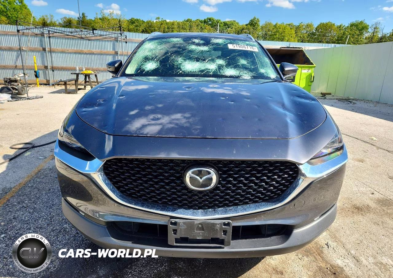 2021 Mazda Cx-30 Premium VIN:3MVDMBDM3MM225559 - 5