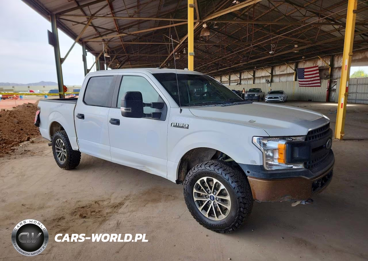 2019 Ford F150 Police Responder VIN:1FTEW1P44KKC25001 - 4