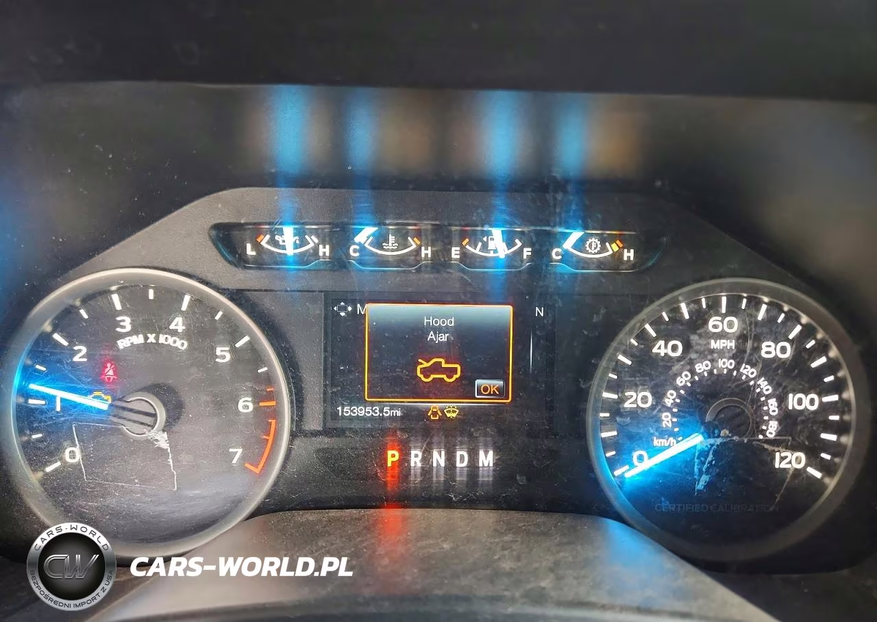 2019 Ford F150 Police Responder VIN:1FTEW1P44KKC25001 - 9